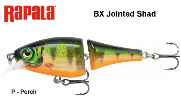 Rapala BX Jointed Shad BXJSD Perch