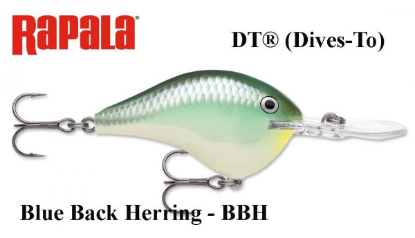 Rapala DT(Dives-To) vobleris DT16BBH Blue Back Herring