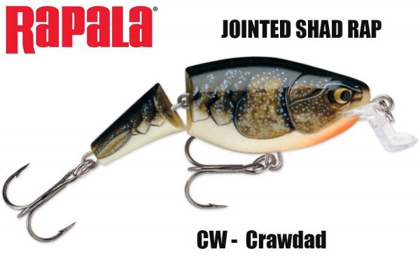 Wobler Jointed Shallow Shad Rap CW