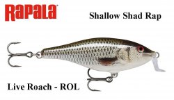 Voblers Rapala Shallow Shad Rap Live Roach