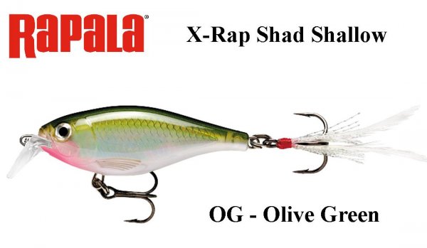 Vobleris Rapala X-Rap Shad Shallow OG - Olive Green